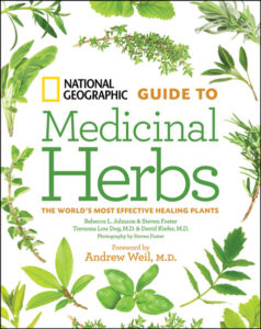 What is Witch Hazel? Image